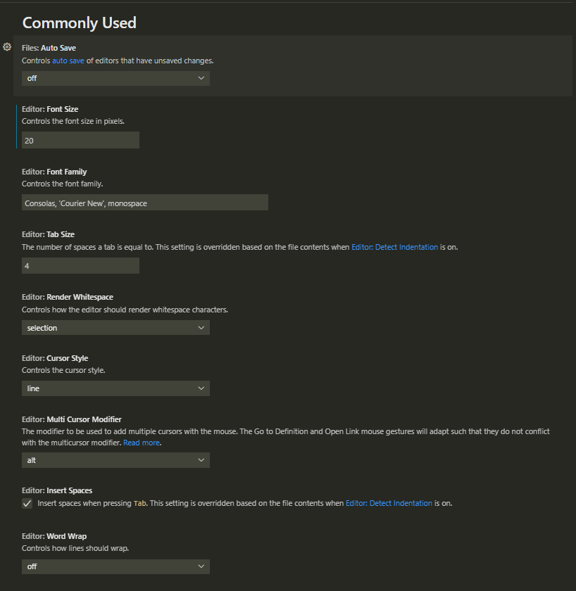 Commonly used setting in vscode